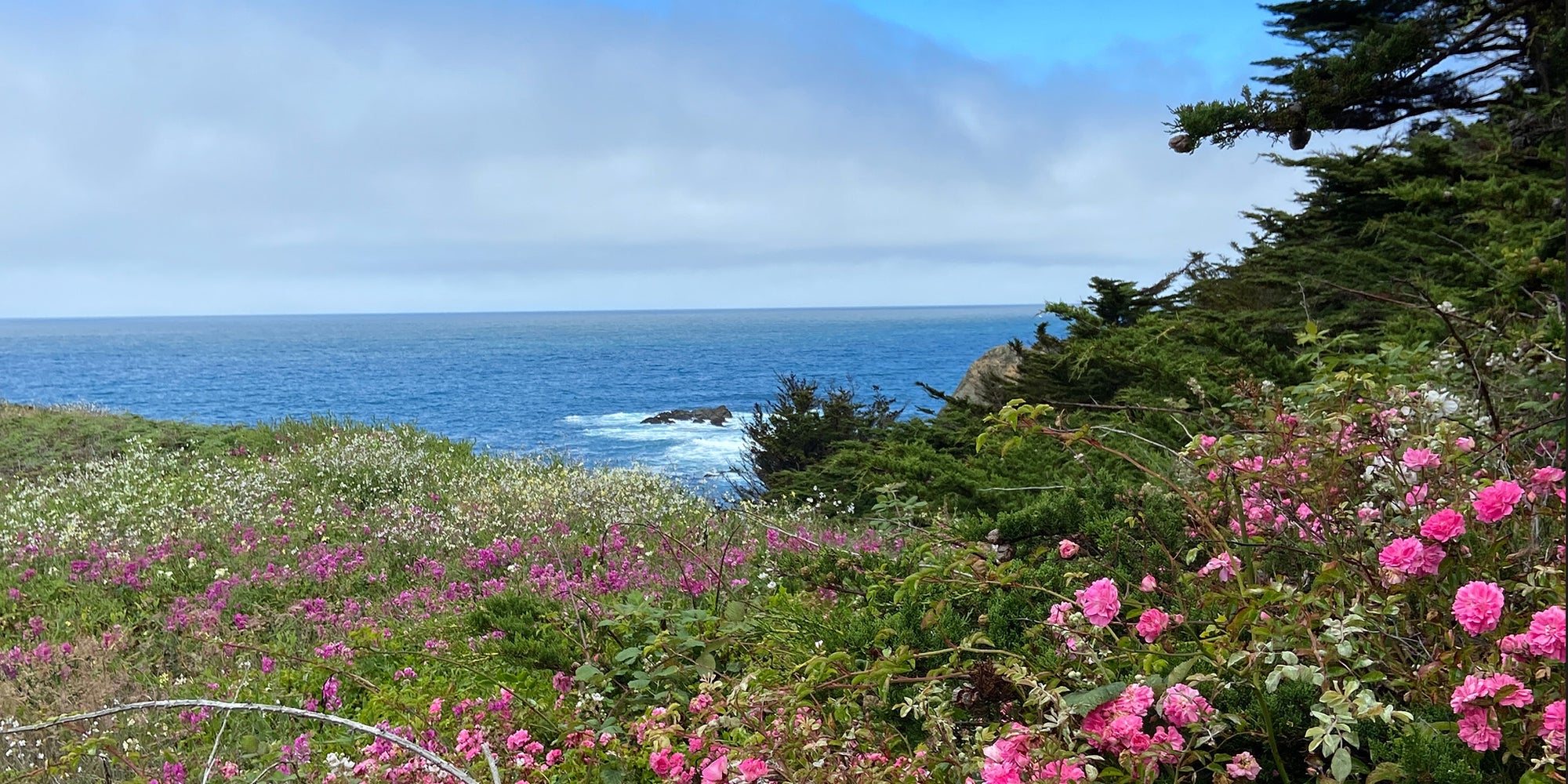 Mendocino Headlands State Park